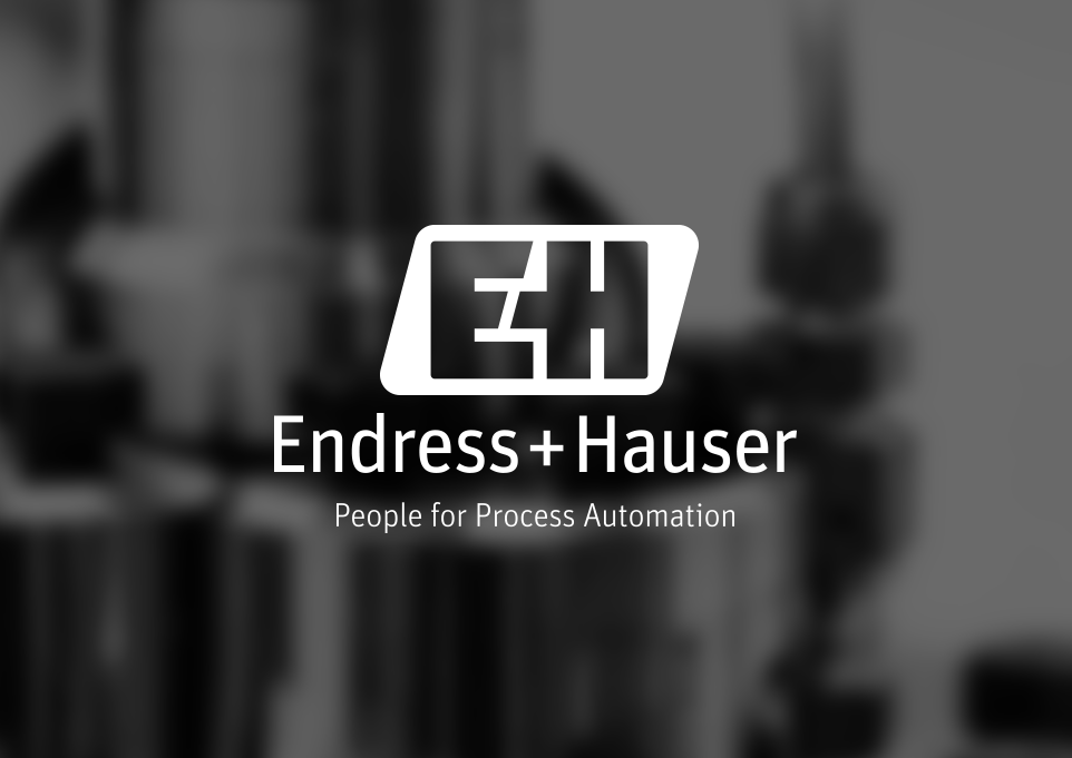 partner-logos-endressandhauser